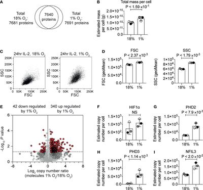 Quantitative Analyses Reveal How Hypoxia Reconfigures the Proteome of Primary Cytotoxic T Lymphocytes